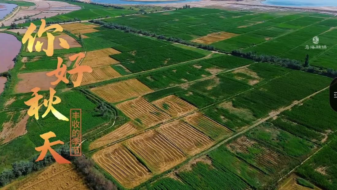 你好秋天·豐收的季節(jié)